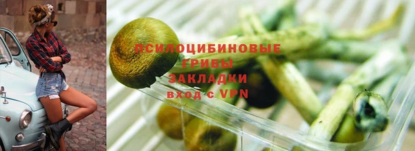 стафф Алзамай
