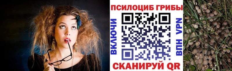 Псилоцибиновые грибы MAGIC MUSHROOMS  Нижний Тагил 