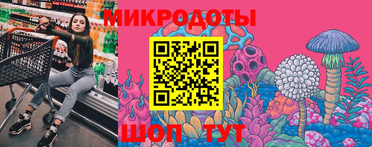 Галлюциногенные грибы Psilocybe Нижний Тагил