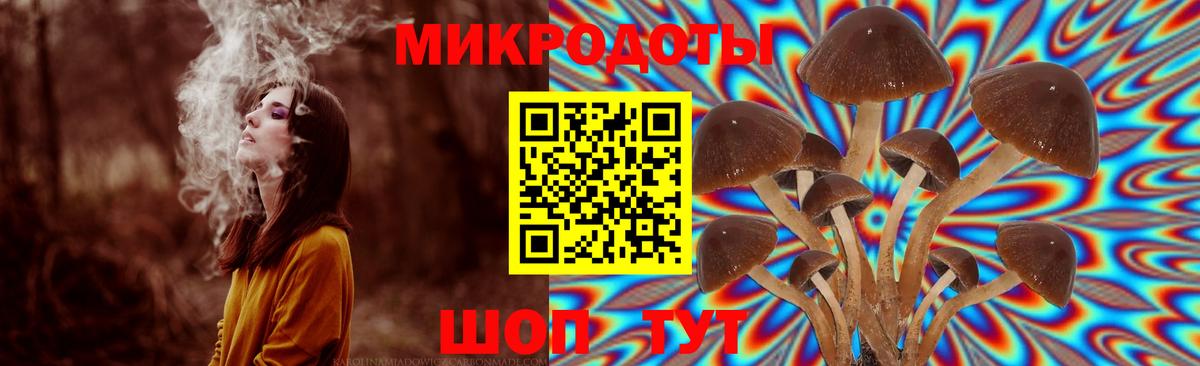 Нижний Тагил  Галлюциногенные грибы Psilocybe  Вход с VPN 
