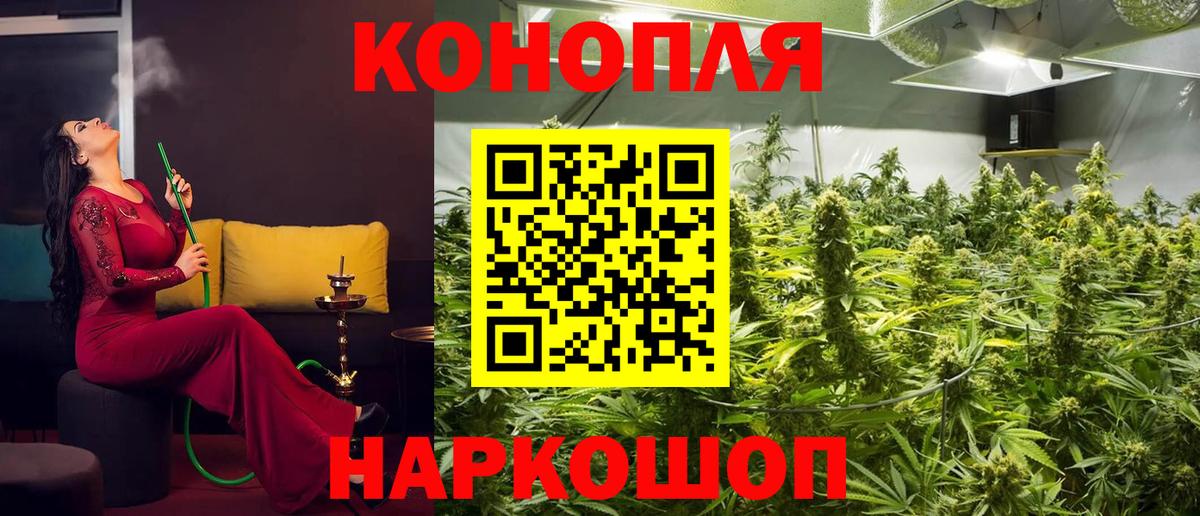 Шишки марихуана план Нижний Тагил